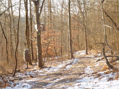 0 Chestnut Ridge Rd unit 4247055, Danville, OH 43014 - photo 7