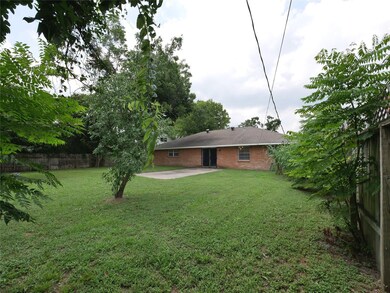 Backyard - View From NorthWest Corner