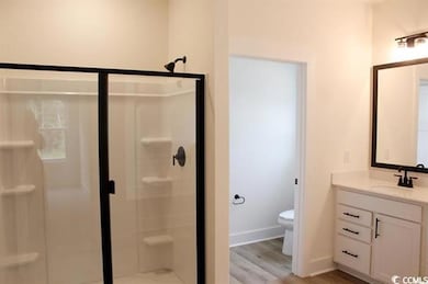 Bathroom featuring a shower stall, vanity, and light wood-type flooring