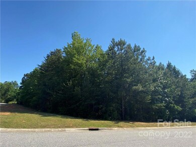 Lot 69 Firethorn Ct E unit 69, Denver, NC 28037 - photo 3