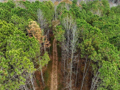 0 County Road 1506, Cullman, AL 35058 - photo 4