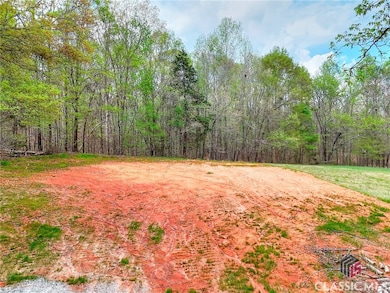 0 Falcon Ln unit 1024877, Carnesville, GA 30521 - photo 6