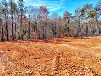 223 Watkins Rd, Blairsville, GA 30512 - photo 7