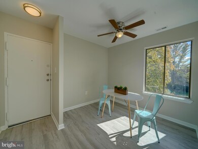 10594 Twin Rivers Rd unit F1, Columbia, MD 21044 - photo 7