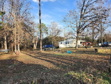 43565 St Highway 181-Pvt Dr-B, Vanzant, MO 65768 - photo 3