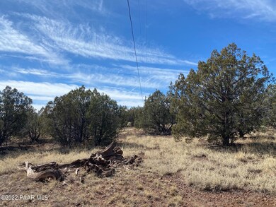 2277 W Albert Way, Ash Fork, AZ 86320 - photo 5