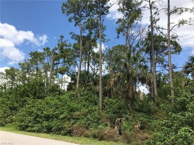 1090 21st St SW, Naples, FL 34117 - photo 2