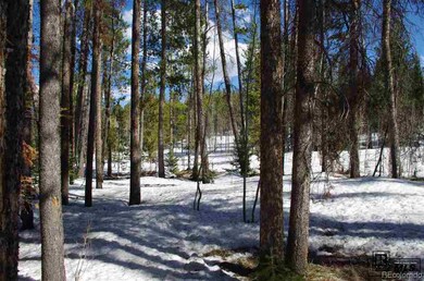 33230 Filly Trail, Oak Creek, CO 80467 - photo 3