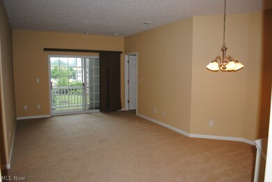 707 Aqua Marine Blvd unit 26, Avon Lake, OH 44012 - photo 2