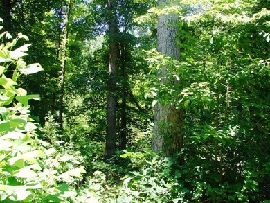 0 Lees Crossing Ln unit 12 38314, Appomattox, VA 24522 - photo 5