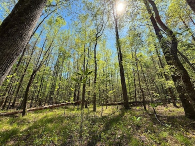 65400 State Route 172, Phil Campbell, AL 35581 - photo 5