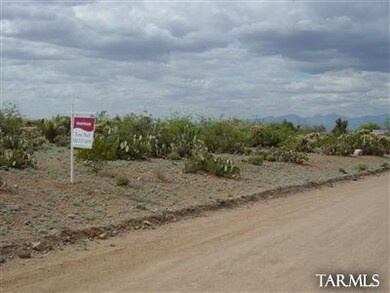 1131 N Vidal Dr, Vail, AZ 85641 - photo 3