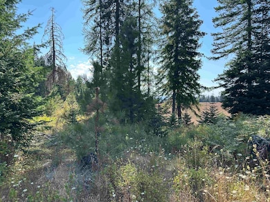 TBD Parcel 1 Peaceful Valley Rd, Kamiah, ID 83536 - photo 7