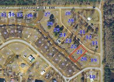 Lot 9