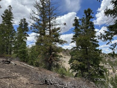 1 acre