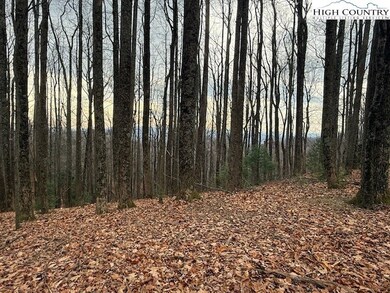TBD Jobs Rd, Laurel Springs, NC 28644 - photo 5