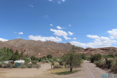 1700 E Riverside Dr, Truth Or Consequences, NM 87901 - photo 3