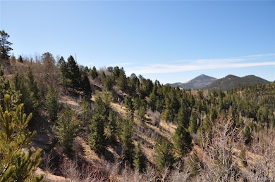 67 Ajax Rd, Florissant, CO 80816 - photo 2
