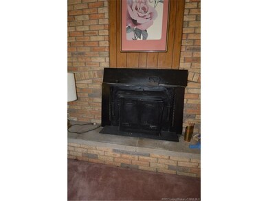 Fireplace insert in the living room.