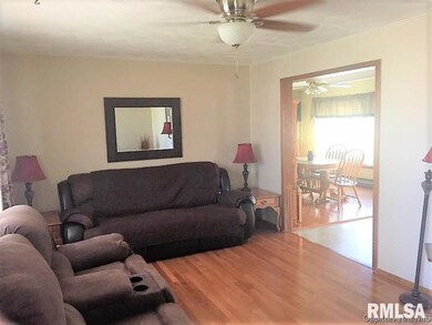 231 W Washington St, Virginia, IL 62691 - photo 3