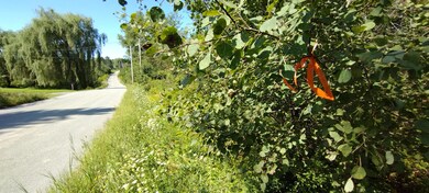 IMG_20230901_103814271
