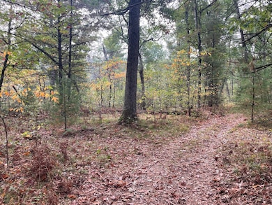 V/L S Spruce, Newaygo, MI 49337 - photo 6