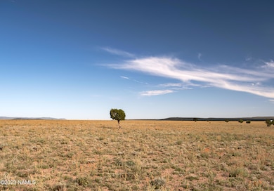 000-A1 Kirby Lane Parcel A1 Ln, Ash Fork, AZ 86320 - photo 2