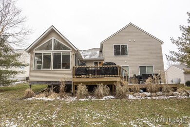 Rear Elevation