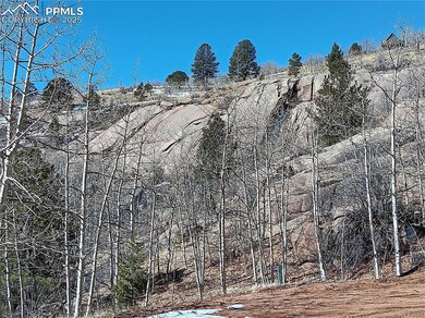 View of local wilderness