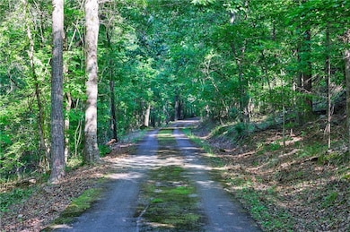 View of street featuring a view of trees