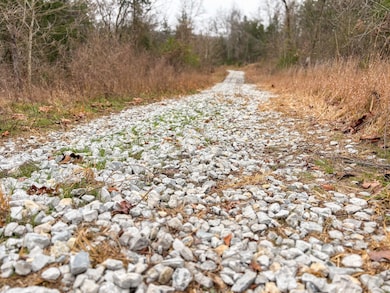 03 Norfork Village St, Tecumseh, MO 65760 - photo 5