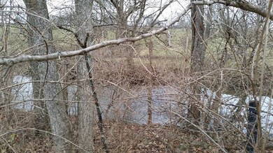 5349 Delaney Ferry Rd, Versailles, KY 40383 - photo 6