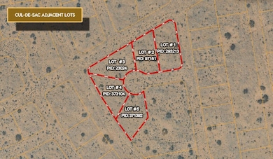 Boyleston Ct, El Paso, TX 79928 - photo 3