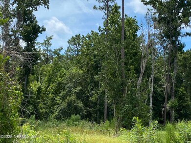 View from Mills Rd