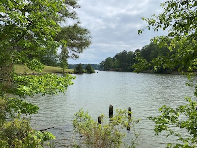 0 Davis Rd, Hamilton, GA 31811 - photo 5