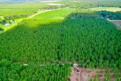 4060 County Farm Rd, Blackshear, GA 31516 - photo 5