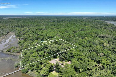 106 Barnaby Bluff, Seabrook, SC 29940 - photo 4