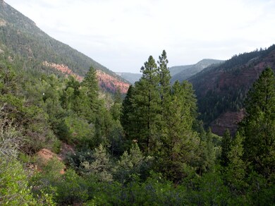 DSCN1931