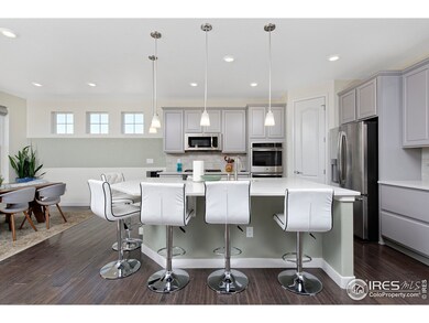 14345 Forest St, Thornton, CO 80602 - photo 7