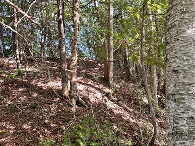 4C Carmichael Rd, Littleton, ME 04730 - photo 7