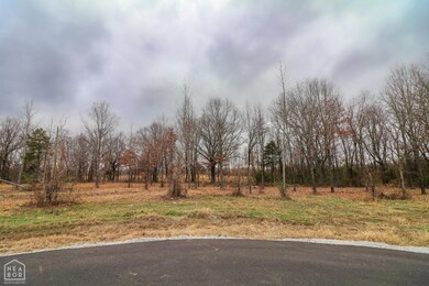 0 Diamond Valley Estates unit 10111715, Jonesboro, AR 72404 - photo 7