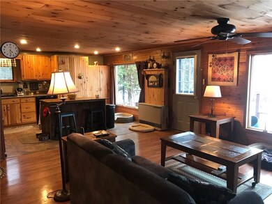 Living and kitchen view