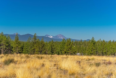 70-web-or-mls-Riley Visuals-70