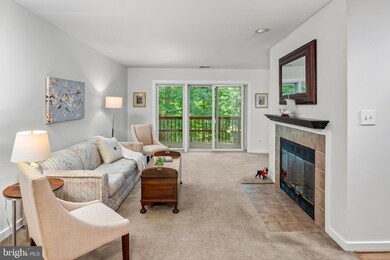 9471 Hickory Limb, Columbia, MD 21045 - photo 5