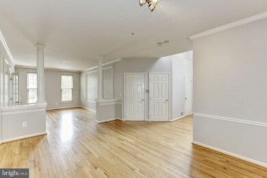 21533 Thornhill Place, Broadlands, VA 20148 - photo 7