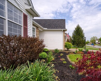 resized flower bed