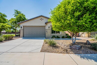 41420 Cherry St, San Tan Valley, AZ 85140 - photo 6