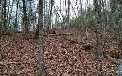 Additional View