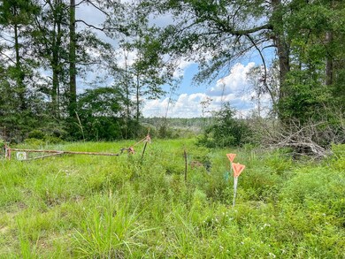 0 Old Honey Island Rd unit 37139505, Kountze, TX 77625 - photo 6