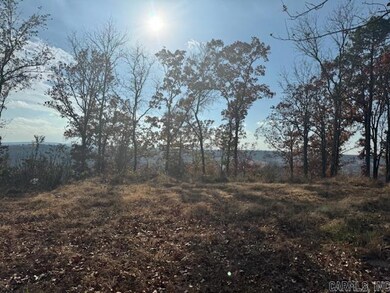 unlisted-address, Conway, AR 72034 - photo 2